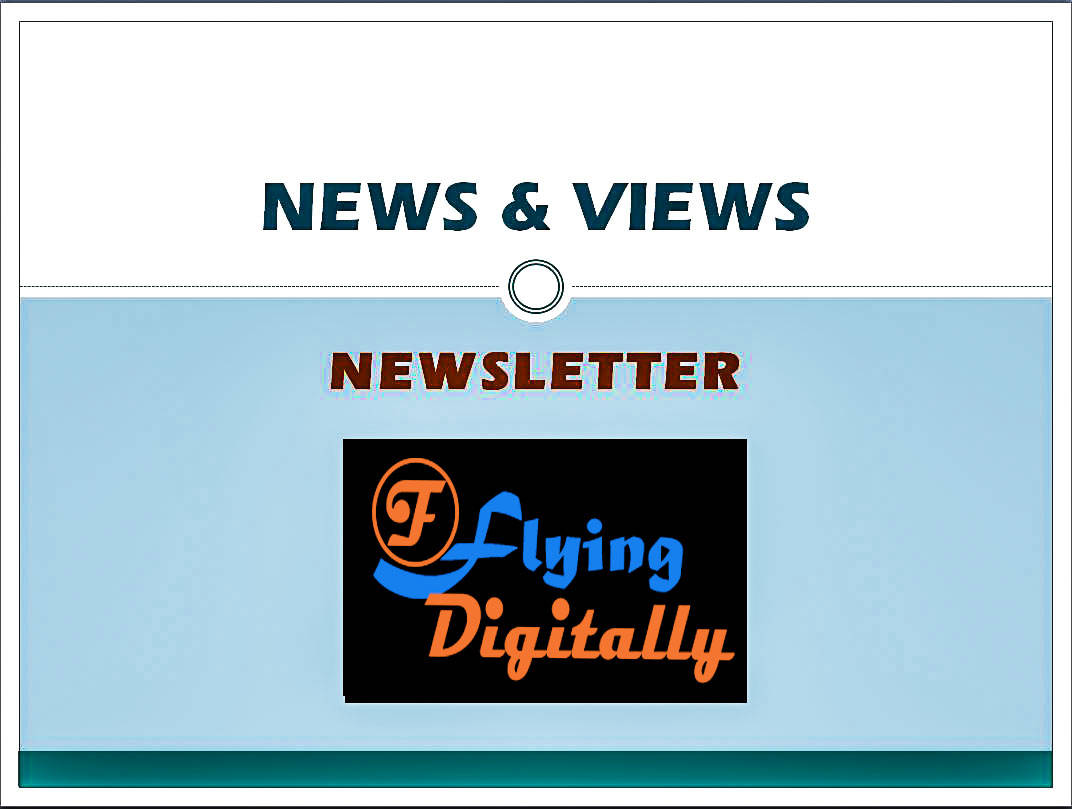 Newsletter by Flying Digitally-Product Promotion