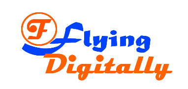 Company Logo of Flying Digitally
