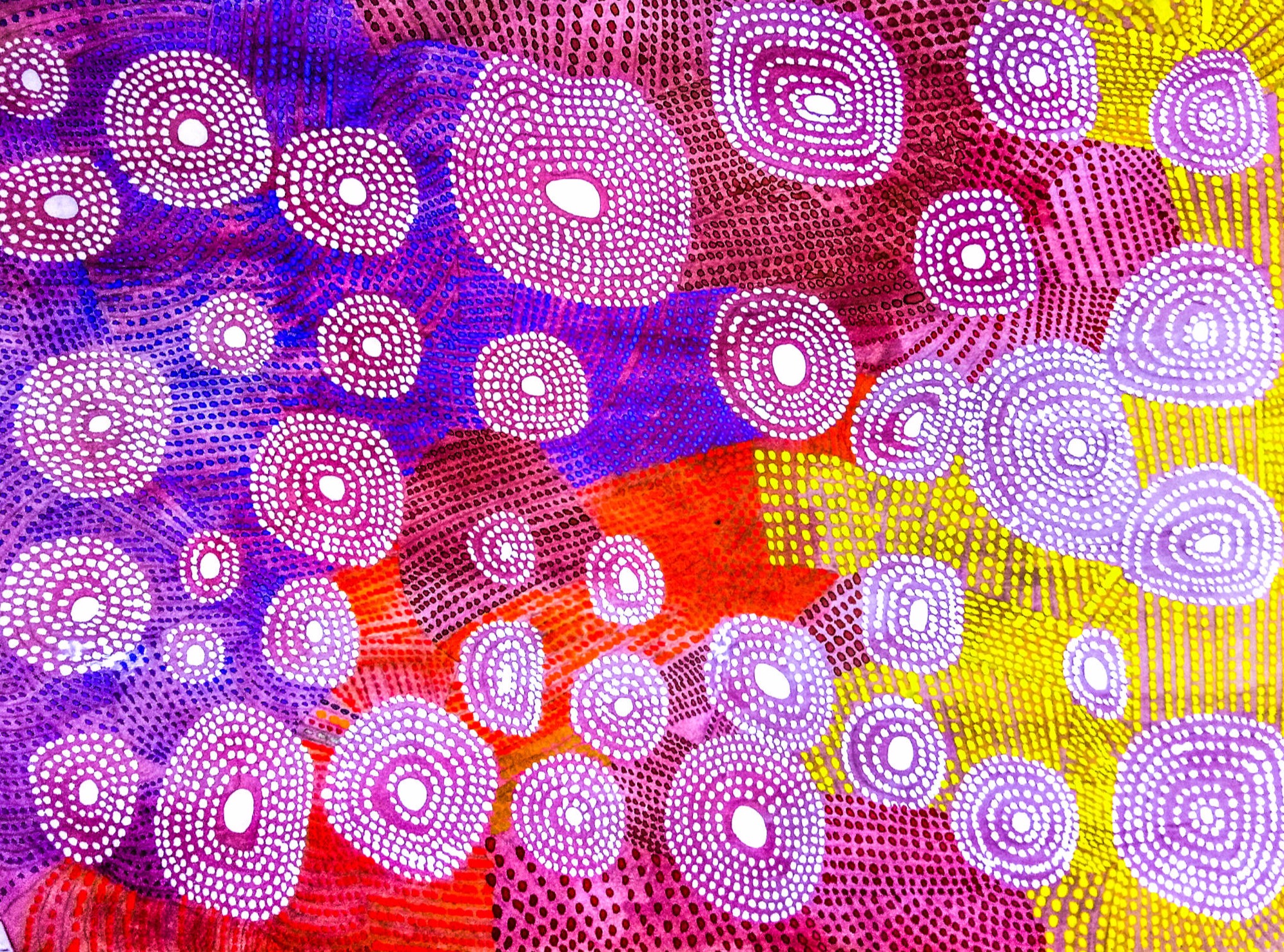 Flying Digitally- SPainting - Aboriginal Art